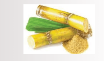 El Poder Transformador del Ácido Glicólico